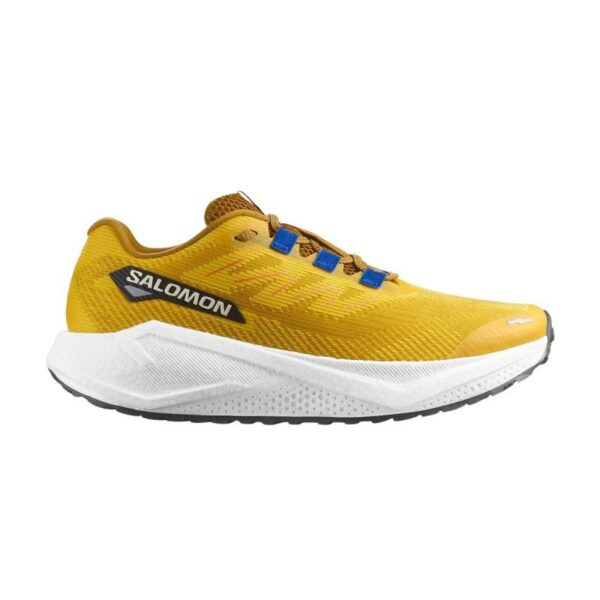 Salomon Aero Blaze 3 Grvl