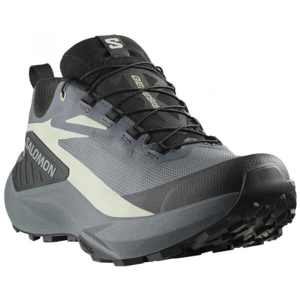 Salomon Genesis Gtx W