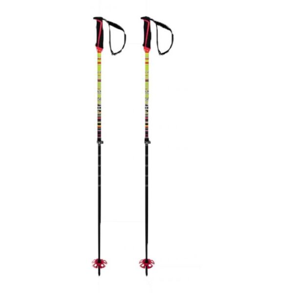 Völkl Völkl Phantastick Fr Poles