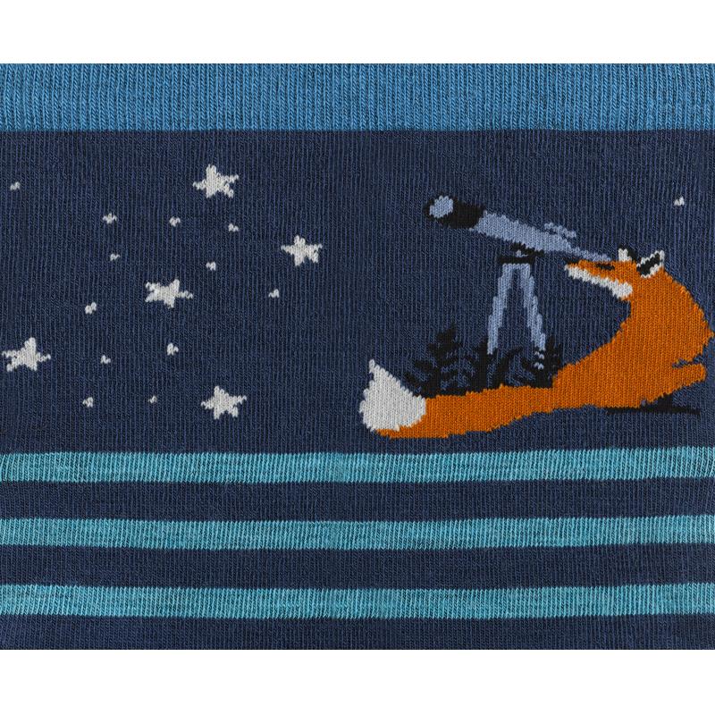 Darn Tough Animal Haus Crew Lightweight DT6037 Bardu Sport 4