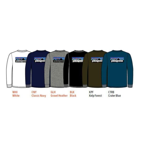 Patagonia Patagonia M L-S P-6 Logo Responsibili-Tee P38518 Bardu Sport 1
