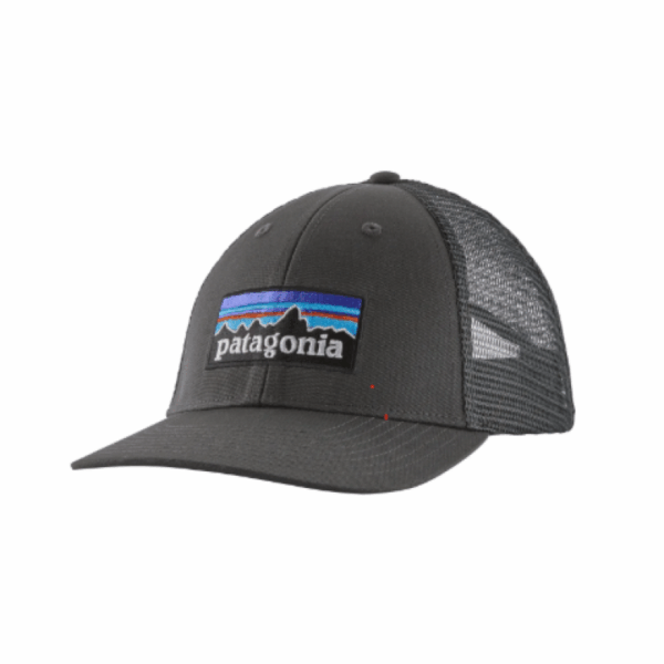 Patagonia P-6 Logo LoPro Trucker Hat