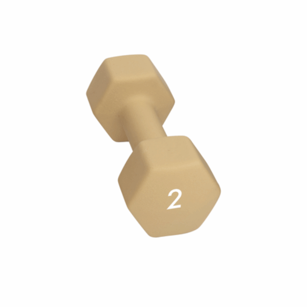 Abilica Abilica Dumbbell 2 Kg 374276 Bardu Sport 1