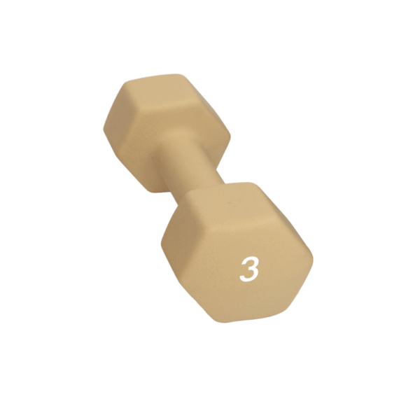 Abilica Abilica Dumbbell 3 Kg 374277 Bardu Sport 1