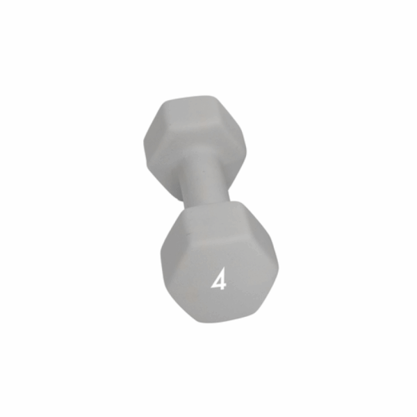Abilica Abilica Dumbbell 4 Kg 374278 Bardu Sport 1