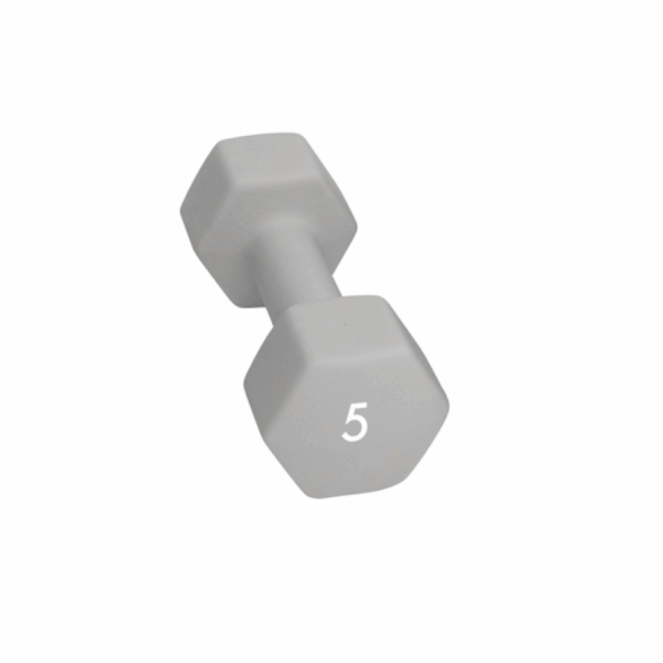 Abilica Abilica Dumbbell 5 Kg 374279 Bardu Sport 1