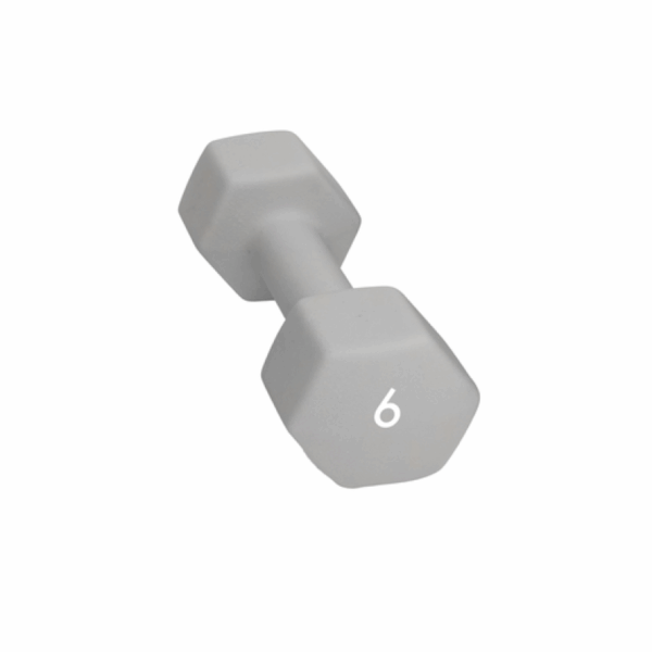 Abilica Abilica Dumbbell 6 Kg 374280 Bardu Sport 1