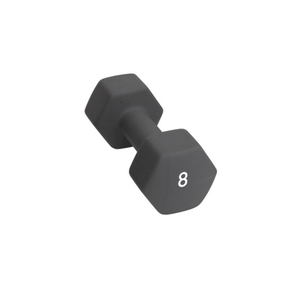 Abilica Abilica Dumbbell 8 Kg 374282 Bardu Sport 1