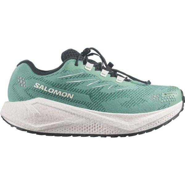 Salomon Salomon Aero Blaze 4 Grvl Gtx W L45403800 Bardu Sport 1